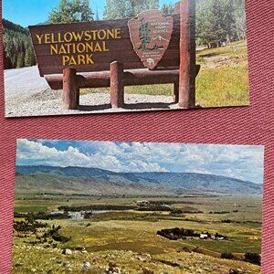Lot of 7 Vintage Postcards Yellowstone National Park Unused